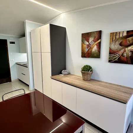 Apartment Attic With Large Furnished Terrace